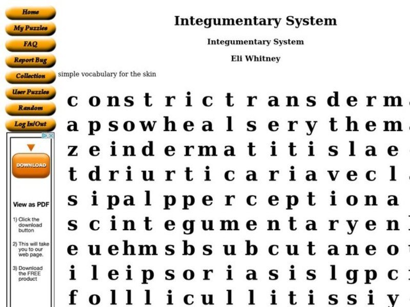 Integumentary System Worksheet