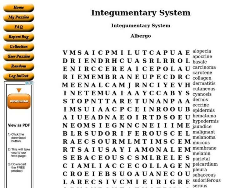 Integumentary System Worksheet