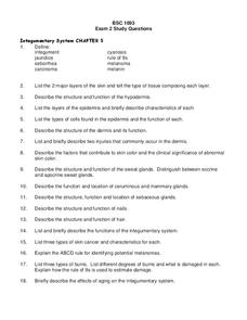 Integumentary System Lesson Plan