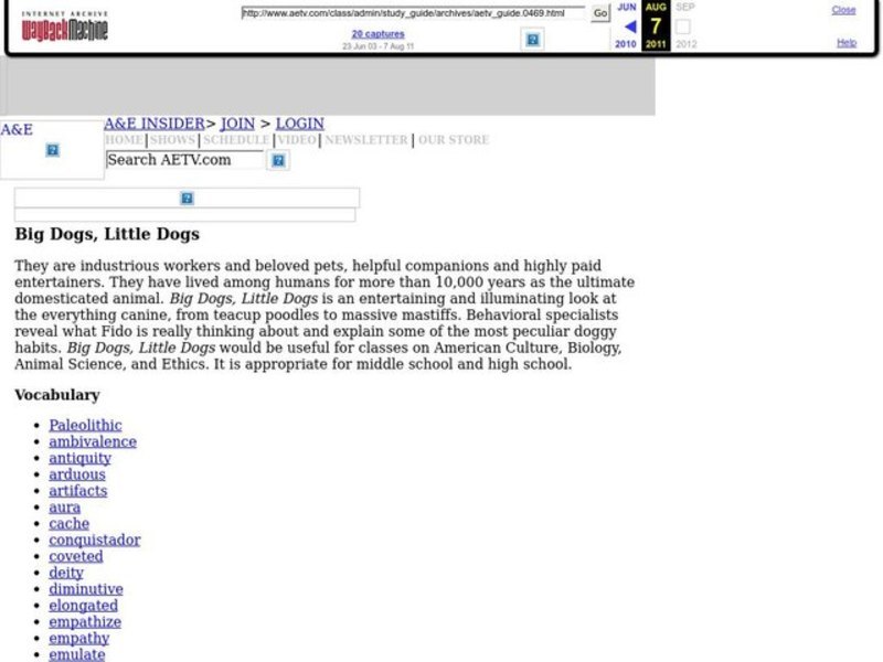 Big Dogs, Little Dogs Lesson Plan