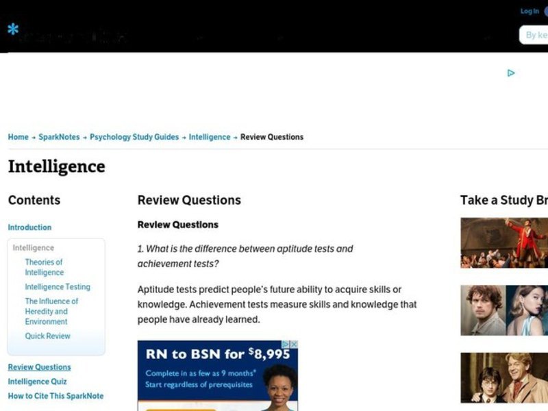 Intelligence Worksheet