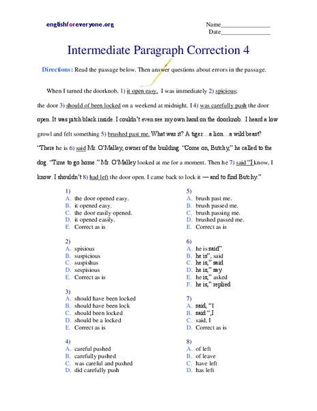 Intermediate Paragraph Correction Lesson Plan