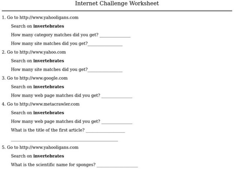 Internet Challenge Worksheet Lesson Plan