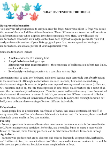 What happened to the frogs? Activity