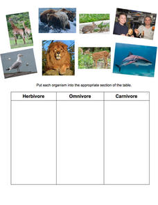 Omnivore, Herbivore, or Carnivore? Fill-in-the-blank