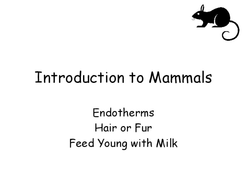 Introduction to Mammals PPT