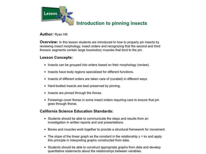 Introduction to Pinning Insects Lesson Plan