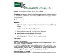 Introduction To Pinning Insects Lesson Plan