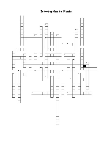 Introduction to Plants Worksheet
