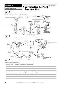 Introduction to Plant Reproduction Worksheet