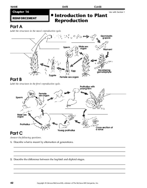 Introduction to Plant Reproduction Worksheet