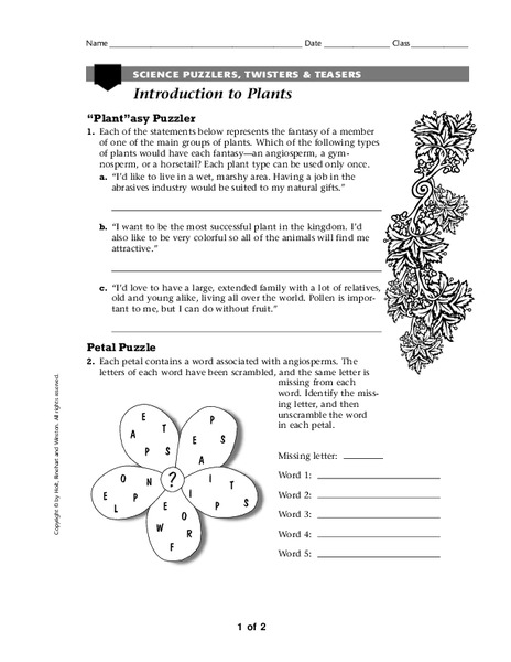 Introduction To Plants Worksheet