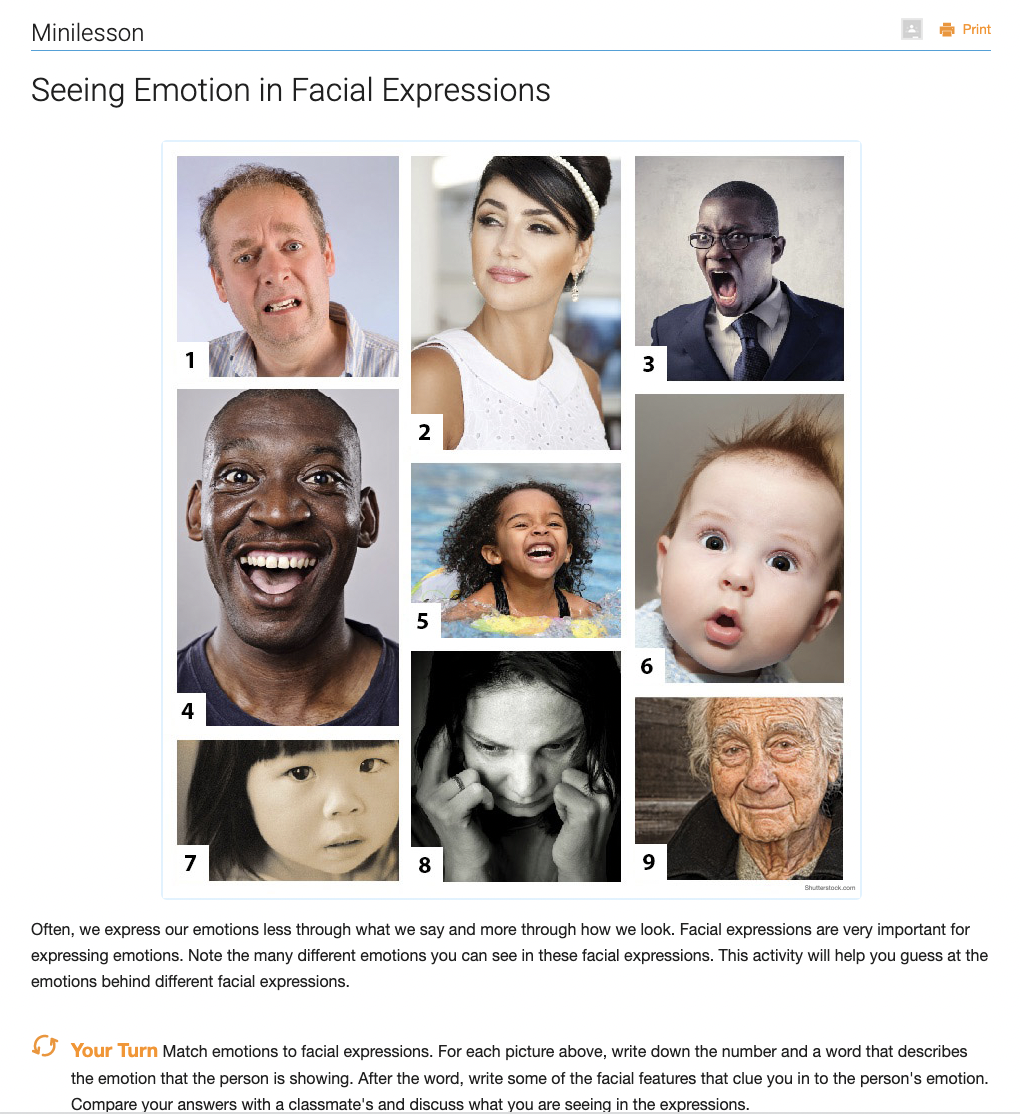 Seeing Emotion in Facial Expressions Activity
