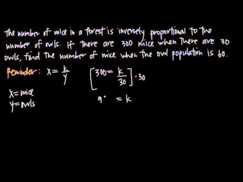 Inverse Variation Instructional Video