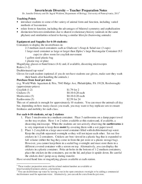 Invertebrate Diversity Lesson Plan