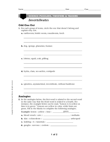 Invertebrates Worksheet
