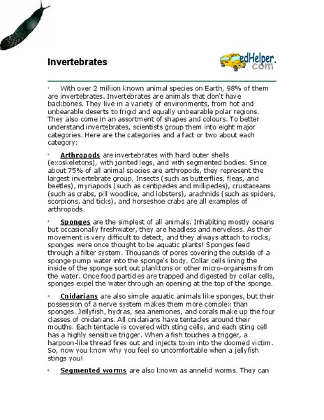 Invertebrates Worksheet