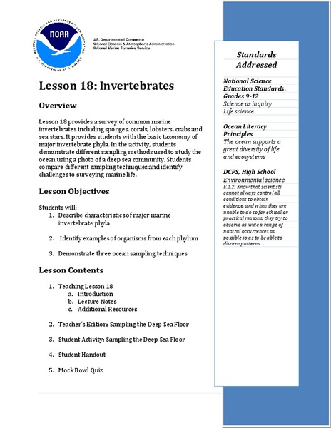 Invertebrates Lesson Plan