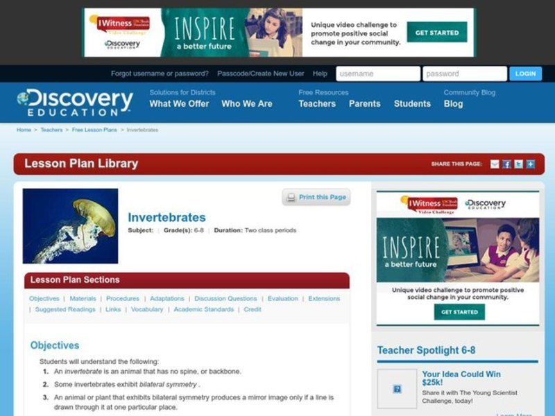 Invertebrates Lesson Plan