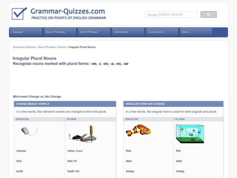 Irregular Plural Nouns Interactive