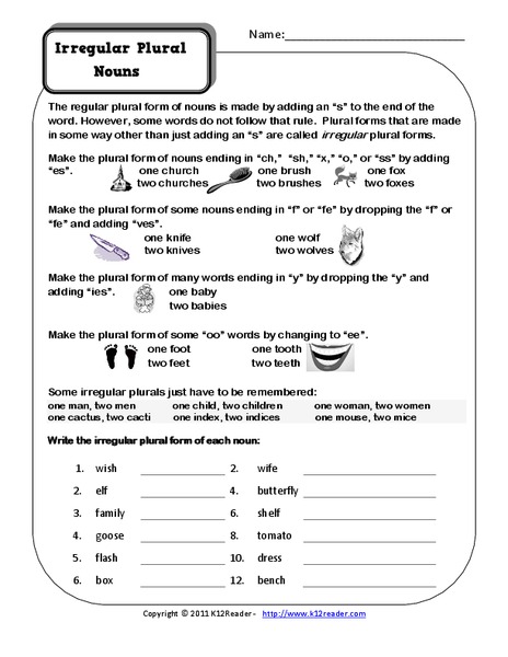Irregular Plural Nouns Worksheet