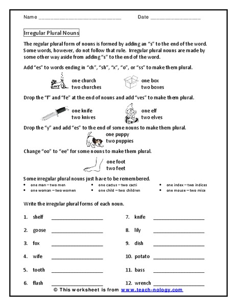 Irregular Plural Nouns Worksheet