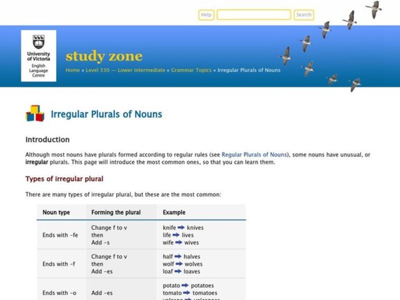 Irregular Plurals of Nouns Worksheet