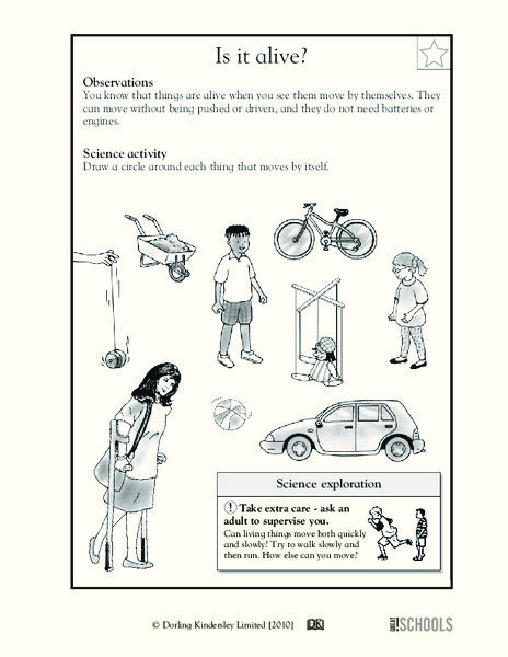 Is it alive? Worksheet