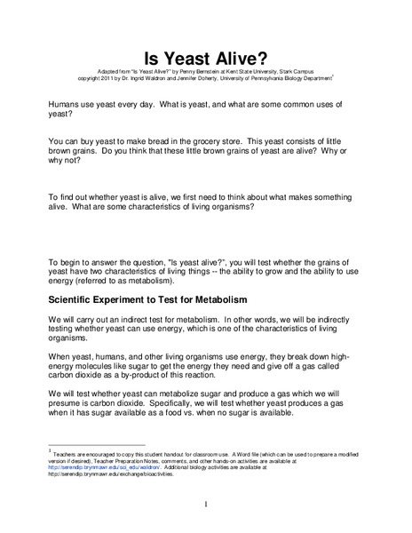 Is Yeast Alive? Lesson Plan