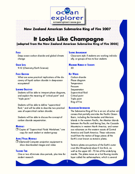 It looks Like Champagne Lesson Plan