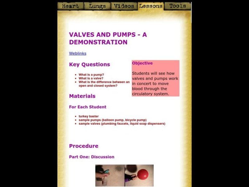 Valves and Pumps - A Demonstration Lesson Plan