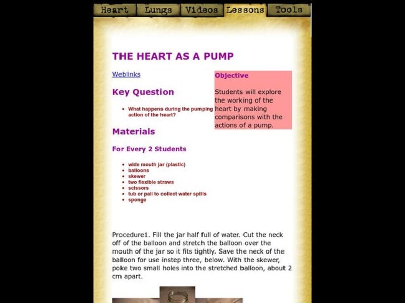Heart as a Pump Lesson Plan