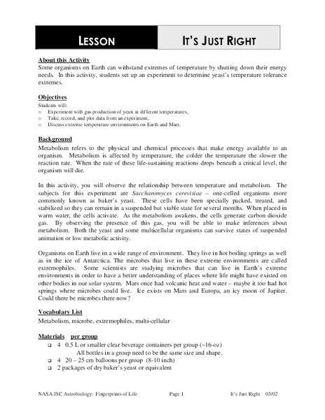 It's Just Right Lesson Plan