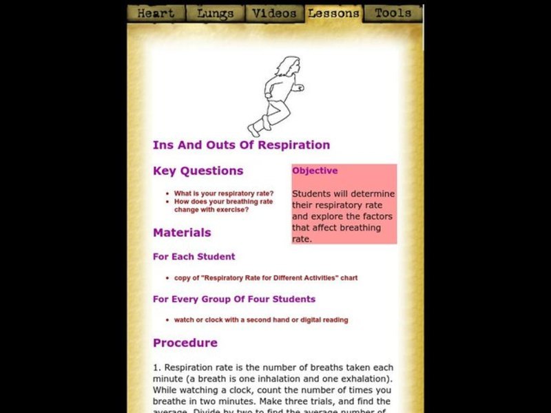 Ins and Outs of Respiration Lesson Plan