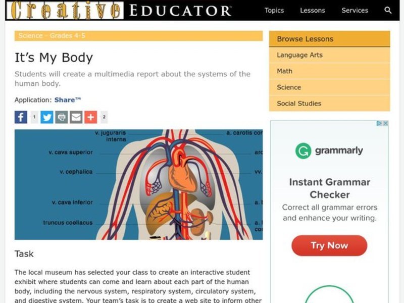 It's My Body Lesson Plan