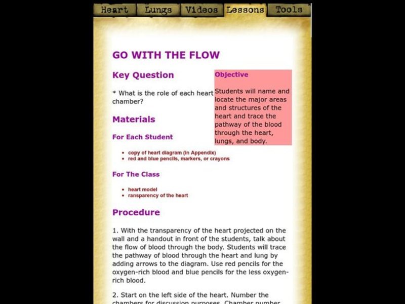 Go With the Flow Lesson Plan