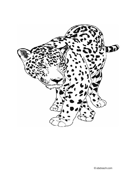 jaguar Worksheet