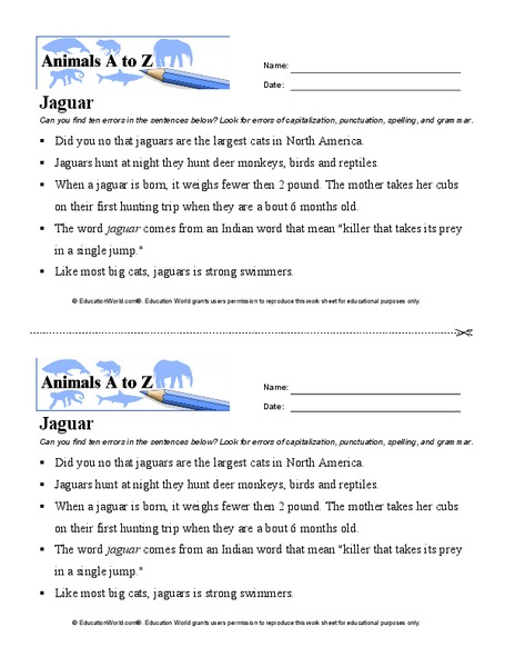 Jaguar Worksheet