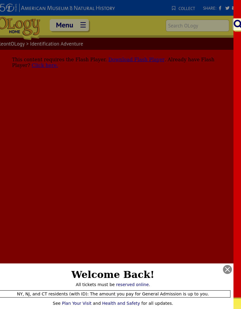 Identification Adventure Interactive