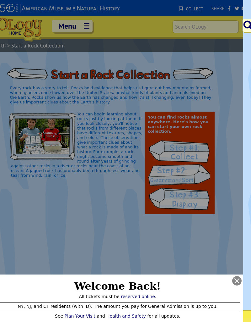 Start a Rock Collection Activity