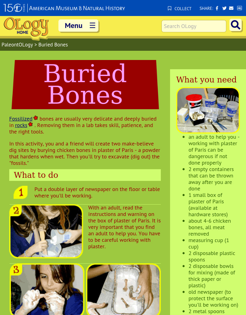 Buried Bones Activity
