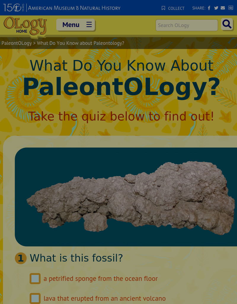 What Do You Know About PaleontOLogy? Interactive