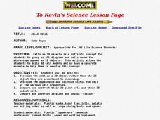 Jello Cells Lesson Plan