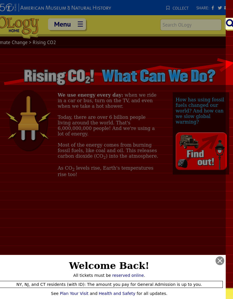 Rising CO2! What Can We Do? Interactive
