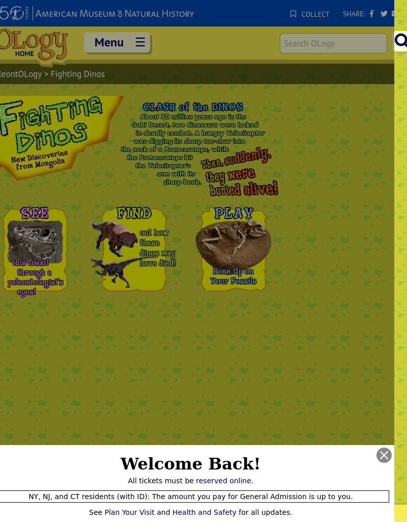 Fighting Dinos Interactive