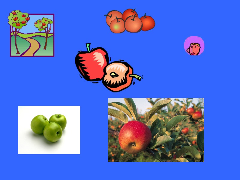 Johnny Appleseed   PPT