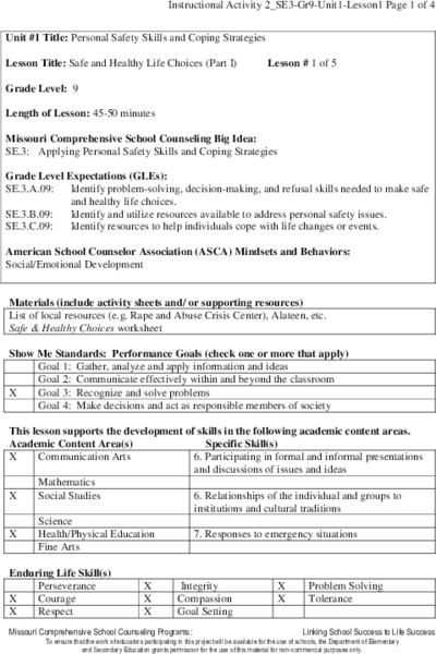 Safe and Healthy Life Choices (Part I) Lesson Plan