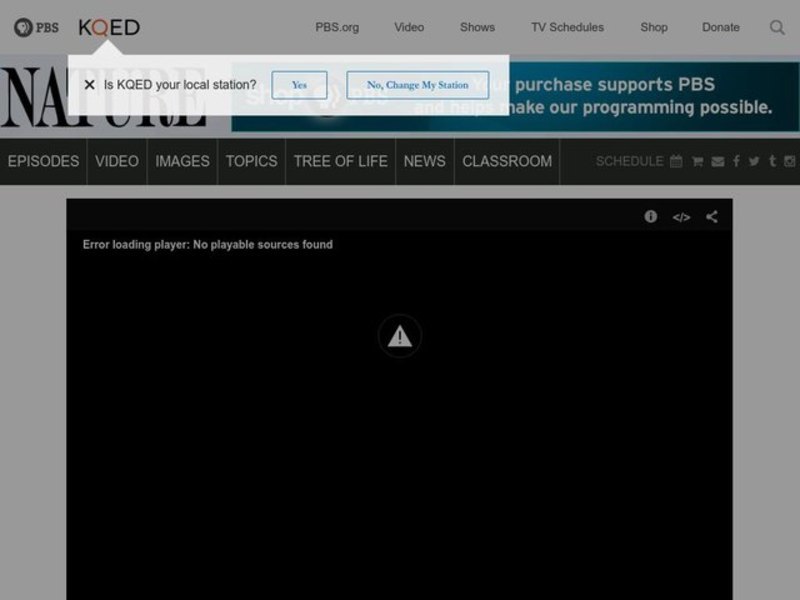 Kalahari Explorations Lesson Plan