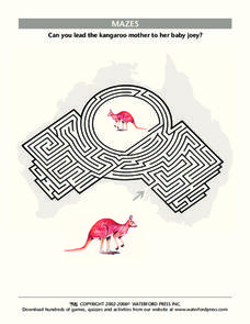 Kangaroo Maze Worksheet