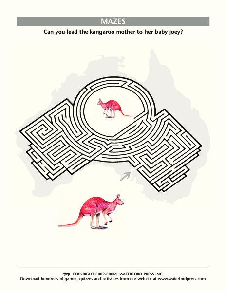 Kangaroo Maze Worksheet